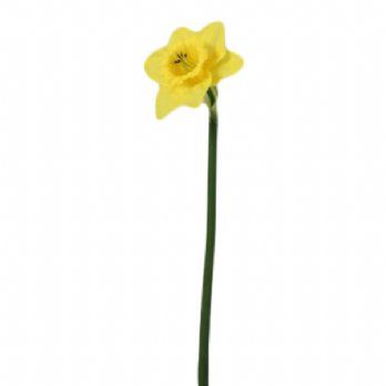 salg af Kunstig påskelilje, H34 cm.