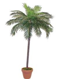 salg af Palme, 280 cm. - kunstige palmer