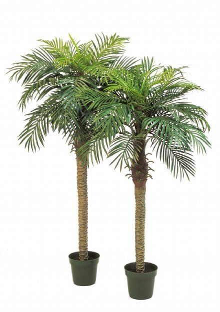 salg af Kunstig palme, phønix  H170 cm.