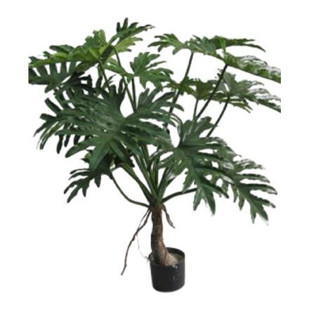 Philodendron, Selloum cm. - kunstige planter - Kunstige grønne træer