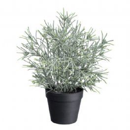 salg af Pil i potte, grågrøn - 30 cm. - kunstige planter