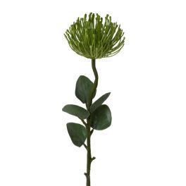 salg af Protea, grøn m/blade - 61 cm. - kunstige blomster