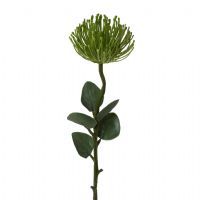 salg af Protea, grøn m/blade - 61 cm. - kunstige blomster