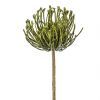 salg af Kunstig protea, grøn - H48 cm.