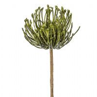 salg af Protea, grøn - 45 cm. - kunstige blomster