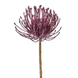 salg af Protea, llila - 45 cm. - kunstige blomster