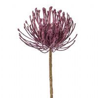 salg af Protea, llila - 45 cm. - kunstige blomster