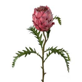 salg af Protea, pink - 60 cm. - kunstige blomster