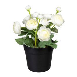 salg af Ranunkel, hvid - 20 cm. - kunstige planter