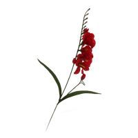 salg af Rød fresia, 50 cm. - kunstige blomster