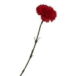 salg af Rød nellike, 55 cm. - kunstige blomster