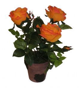 salg af Orange potterose, 34 cm. - kunstige blomster