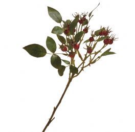 salg af Rosengren m/røde bær, 60 cm.