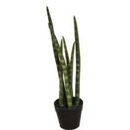 salg af Kunstig sanseveria, H40 cm.