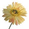 kunstig gerbera