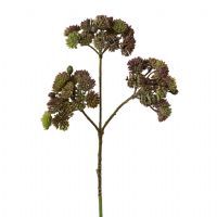 salg af Sedum, brun - 35 cm. - kunstige blomster