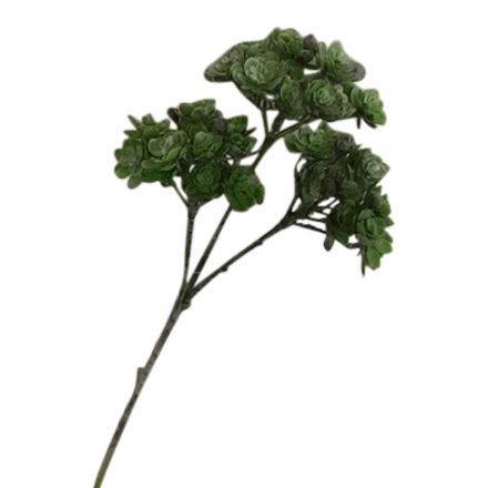 salg af Sedum, grøn - 35 cm. - kunstige blomster