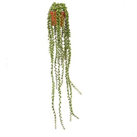 salg af Senecio hænge, 75 cm. - kunstige planter