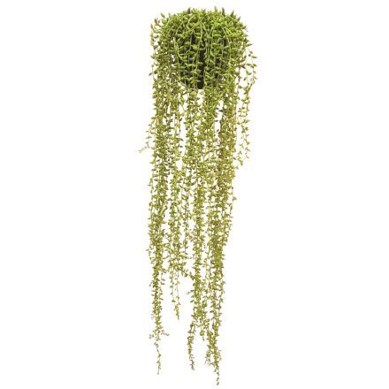 salg af Senecio hænger, 75 cm. - kunstige planter