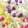 salg af Kaffeservietter, tulipfield