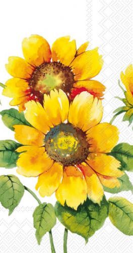 salg af Buffetservietter, sunflower