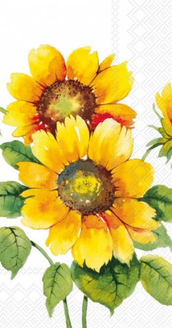 salg af Buffetservietter, sunflower