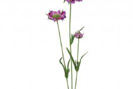 salg af Skabiosa, rosa - 60 cm. - kunstige blomster