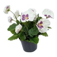 salg af Hvid/lilla Stedmoder, 24 cm. - kunstige blomster