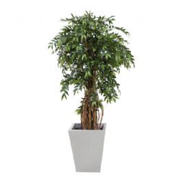 salg af Kunstig ficus, france , H170 cm.