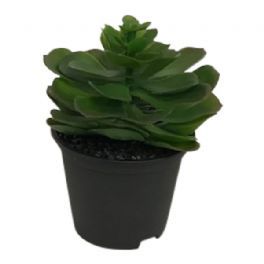 salg af Kunstig sukkulent, 15 cm - kunstig plante