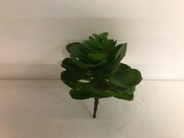 salg af Sukkulent uden potte, 15 cm - kunstige planter