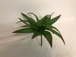 salg af Sukkulent uden potte - 17 cm. - kunstige planter