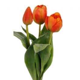 salg af Orange tulipaner, 36 cm. - kunstige blomster
