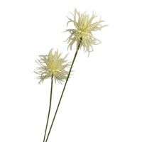 salg af Xantium, creme - 60 cm. - kunstige blomster