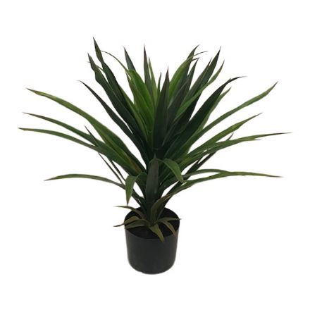 salg af Yucca plante, 65 cm. - kunstige planter