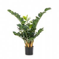 salg af Zamifolia, 90 cm. - kunstig plante